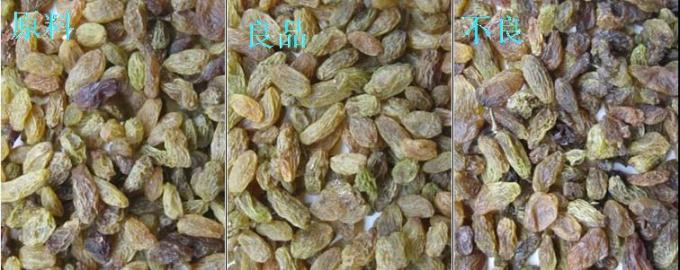 320チャネル光学CCD色分別機 CE認証のレーズン色分別機 4