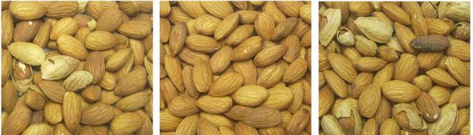 AI学習 インテリジェントベルトスタイル ピーナッツハゼナッツ ピスタチオナッツ カラーソート機 13