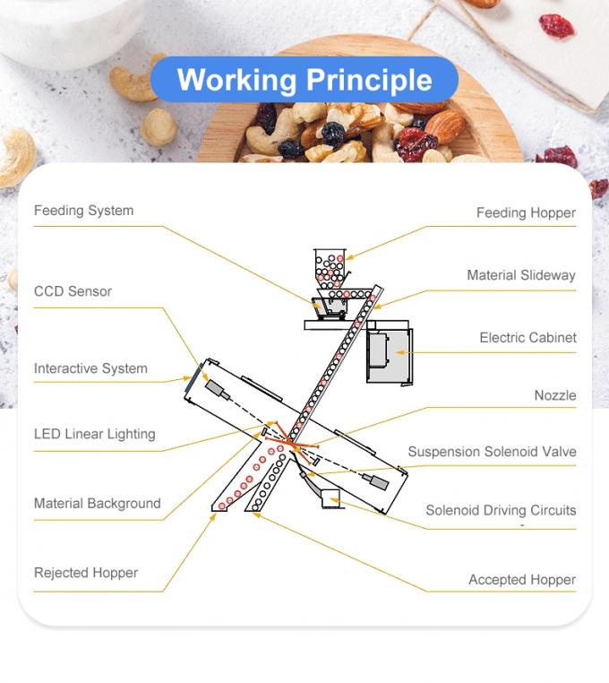文耀5号 中国工場 光学選別機 カルダモン豆 色彩選別機 4