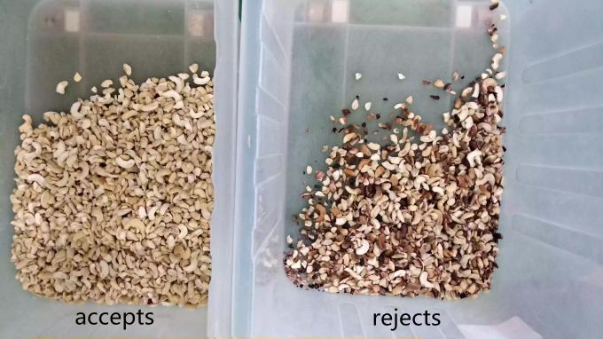 インテリジェント 6 チャート キャシューナッツ カラーソート機 東芝 CCDセンサーとRGBカメラ 6