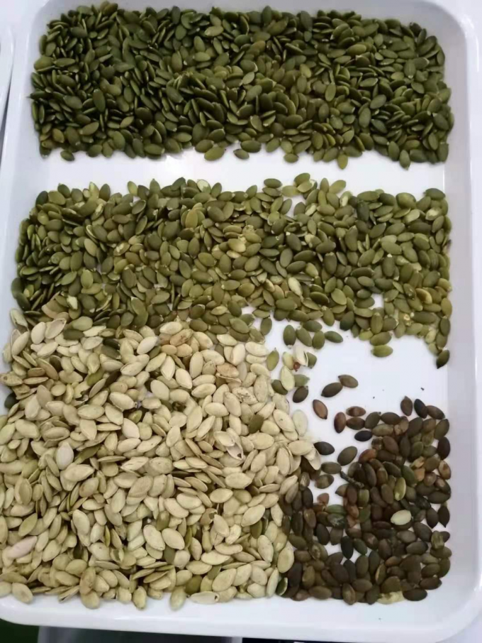 ウェンヤオ 最新の光学CE証明書 ププキンシード 水瓜シード カラーソート機 11