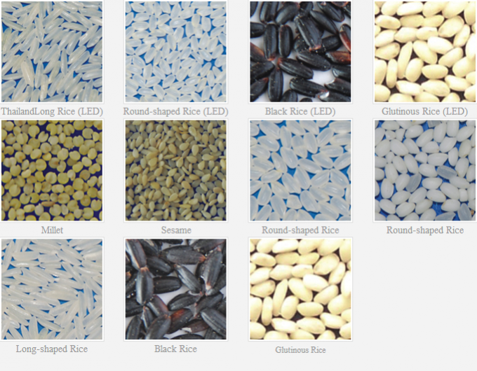 ウェンヤオ インテリジェント 工場 直接販売 腎豆 ピーナッツ チークピーナスの色分け機 9