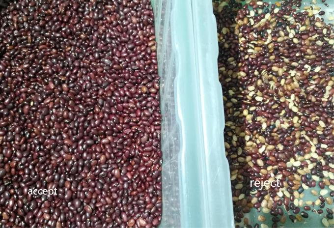 高精度インテリジェント腎臓豆赤豆光学選別機 10