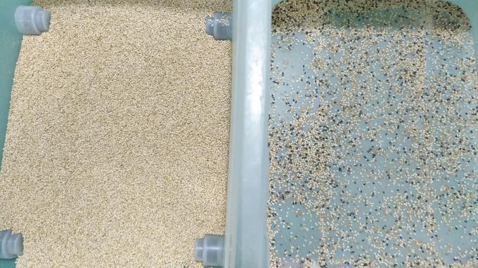 ウェンヤオ 中国 工場 7 チュート スタイルの 高技術 穀物 セサム 色の分類機 4