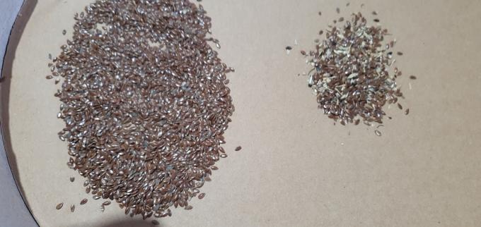 ウェンヤオ 2025 熱売種子 完全自動 Chia 種子 麻の種子 カラーソート機 13