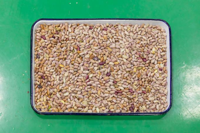 ウェンヤオ 最新のリモコン インテリジェント 穀物 赤 腎 豆 色のソート機 4