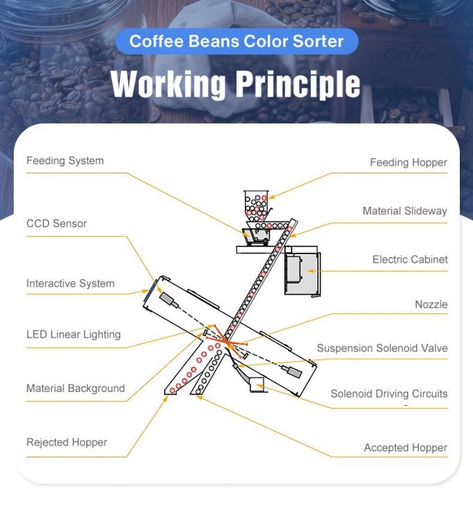 ウェンヤオ 多機能可変CCDカメラ 緑色と焼いたコーヒー豆の色分け機 3