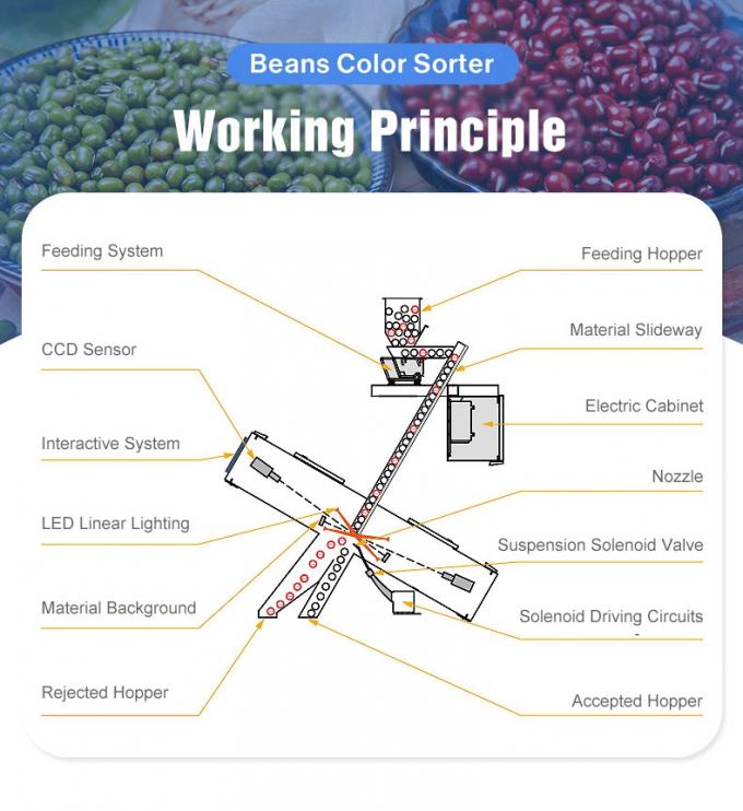 ウェンヤオ 中国 工場価格 完全自動 赤豆 腎豆 カラーソート機 3