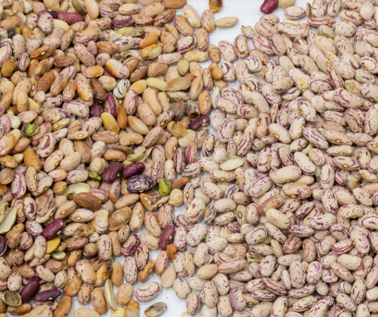 高精度インテリジェント腎臓豆赤豆光学選別機 11