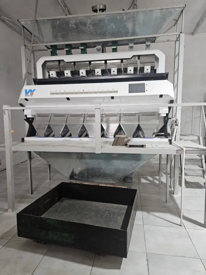 文耀自動効率的なプラスチックフレークとプラスチックペレットPET PVC色選別機 5