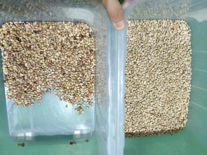 ウェンヤオ光学高性能分類機 腎豆ブラジル豆色分類機 4