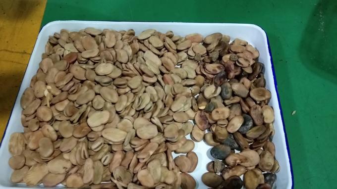 ウェンヤオ光学高性能分類機 腎豆ブラジル豆色分類機 5