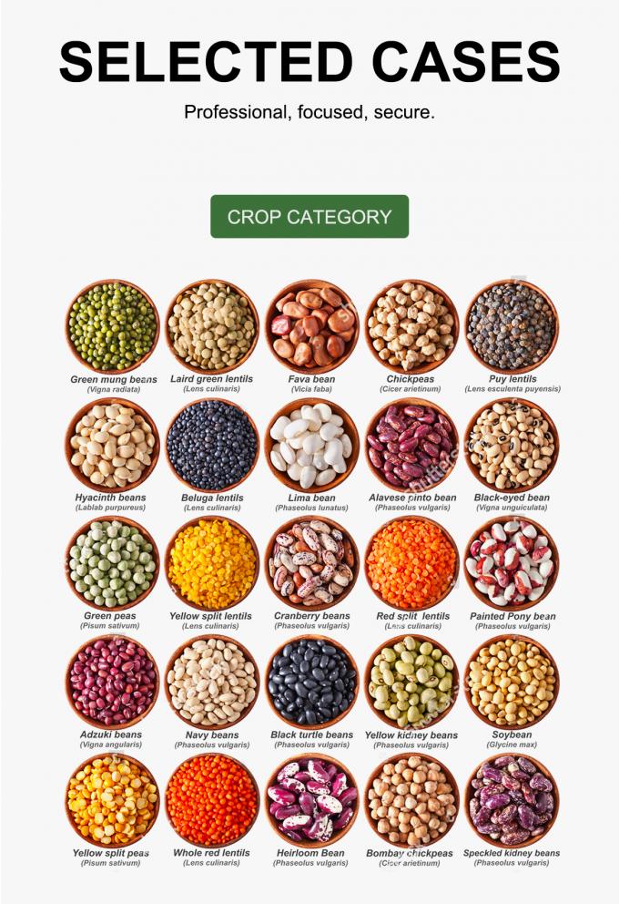 WENYAO 高速選別 穀物選別ライン用調整可能パラメータ 光学選別機 8