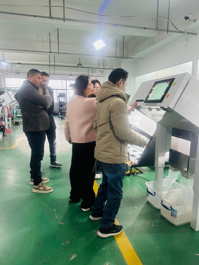 WENYAO ステンレス鋼ボディグレードとソート光学式カラーソーターマシン(塩用) 9