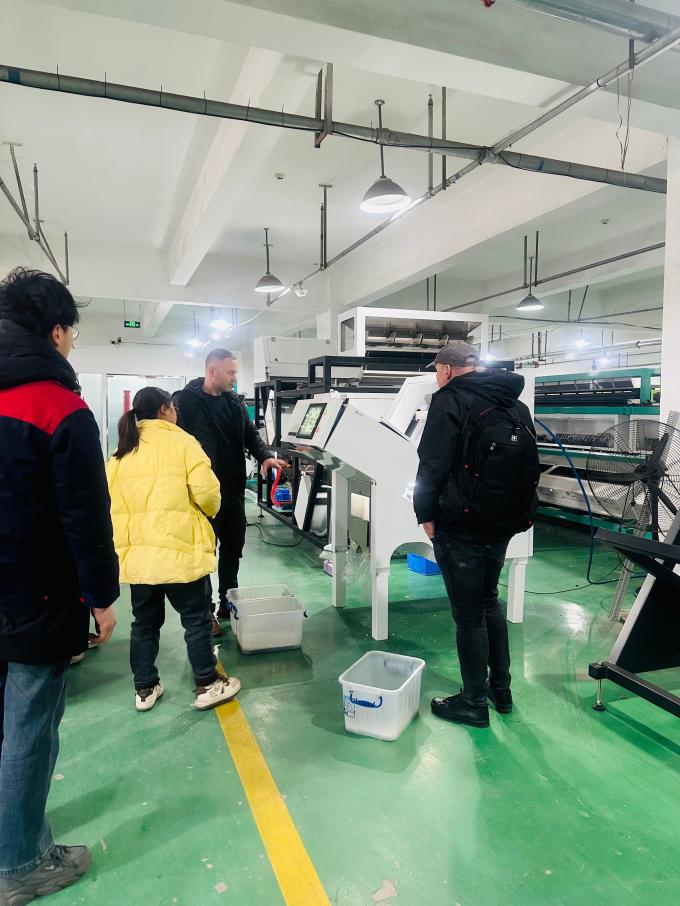 WENYAO ステンレス鋼ボディグレードとソート光学式カラーソーターマシン(塩用) 10