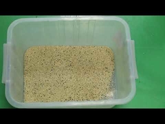 高スループット ロータス種子 色選別機 CCDカメラ 512チャンネル