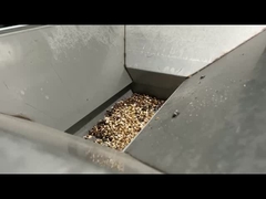 キャンドルナッツの分類機 キャンドルナッツの加工ライン キャンドルナッツの色分け機