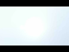 Wenyao色の選別機