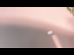 Wenyao色の選別機