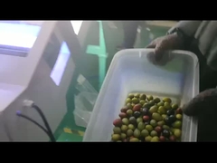 オリーブ色のソート機