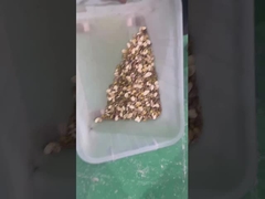 ピスタチオ色のソート ベルトタイプ カラーソート