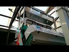 ブロード・ビーンの色分け機