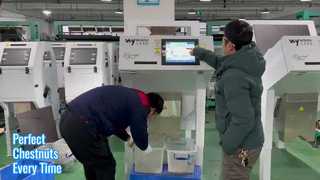 カスタム色ソート機